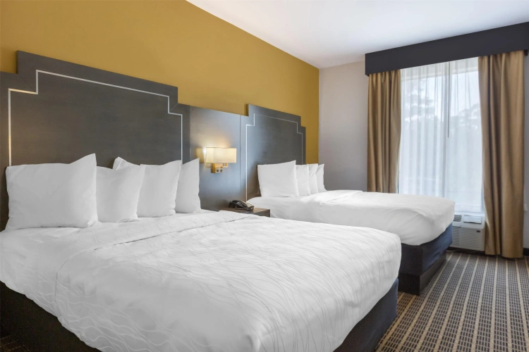 Quadruple Suite