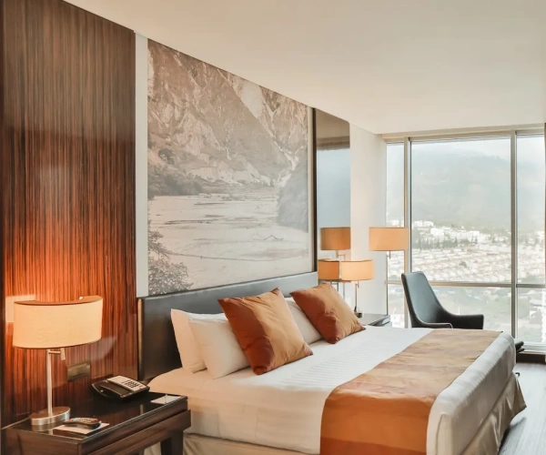 1 Bedroom Suite