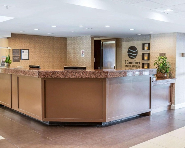 Comfort Inn & Suites Bwi Airport photo 36