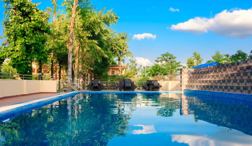 Hotel Rainforest