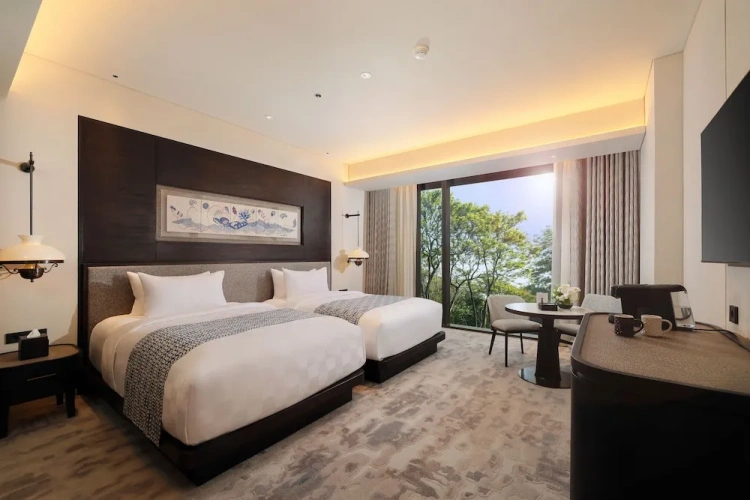 Deluxe Twin Club room