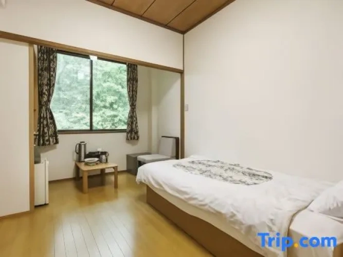 Standard Single room with mountain view