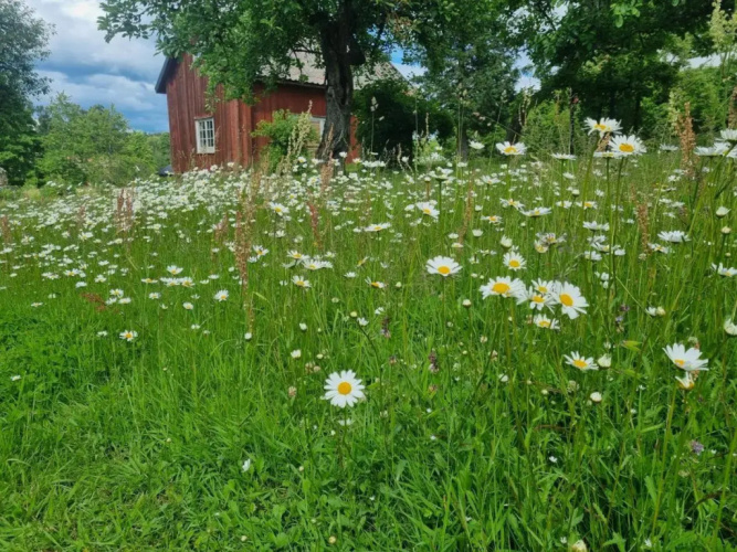 Skölvs Gård