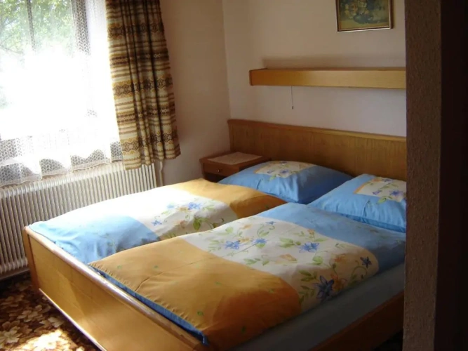 Standard Double room with garden view