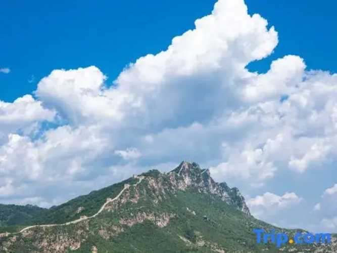 Beijing Longxing Homestay