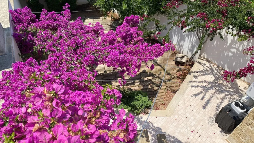 Welcomely - Celi Blu Apartments