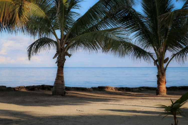 White Sands Cove