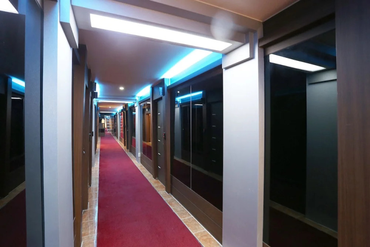 Alps Hotel
