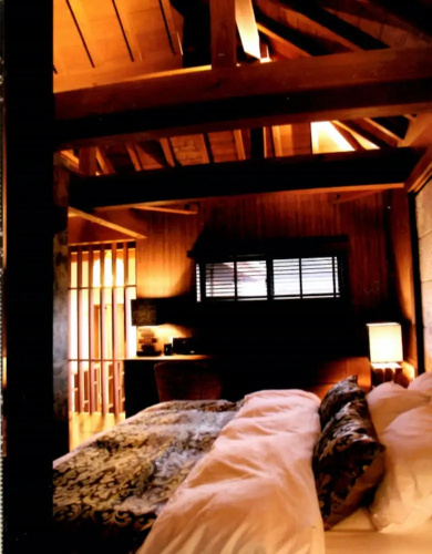 Indigo Geohouse DS1