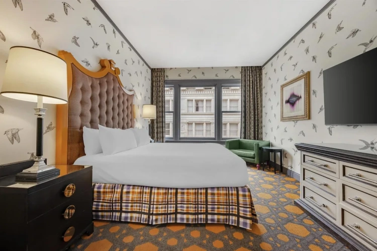 1 Bedroom Suite