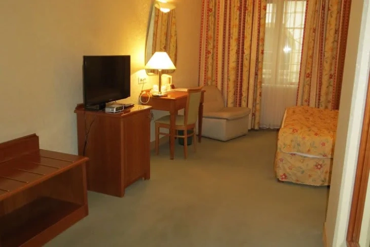 Deluxe Single Suite