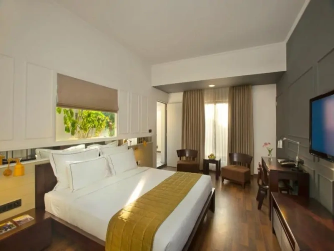 Executive Single room