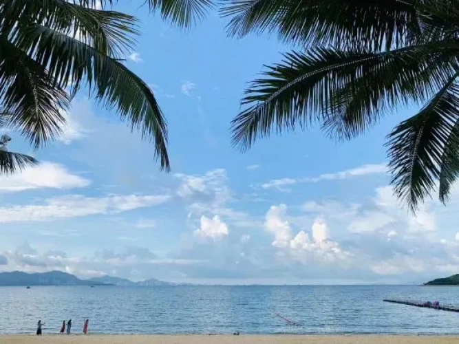 Beach
