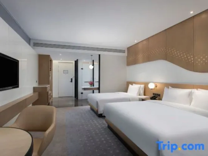 Executive Twin room