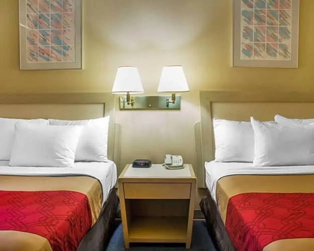 Standard Quintuple room