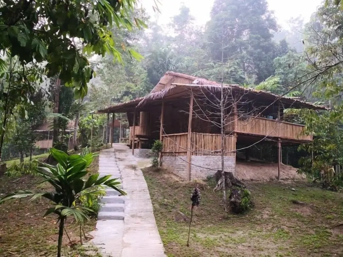 Cottage