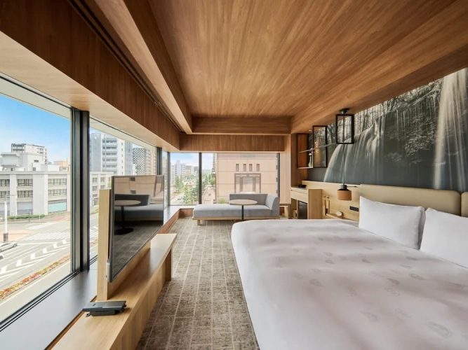 Standard Double room with river view