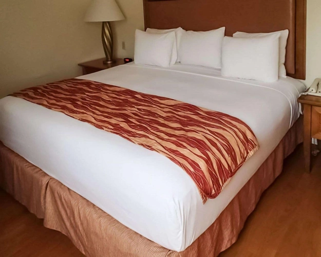 Double room