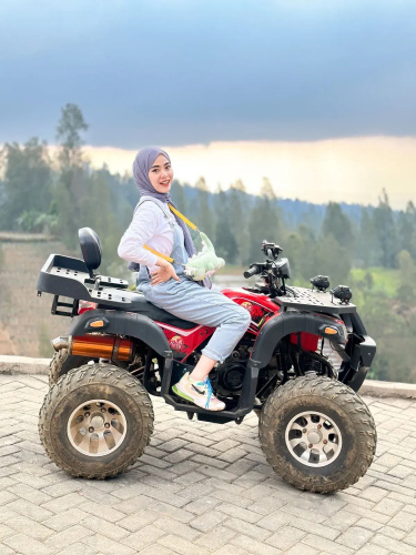 The Nature Bromo & Resort