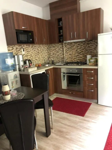 Xenopol Central Apartment