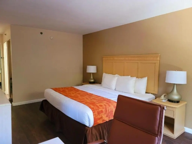 Standard room with view