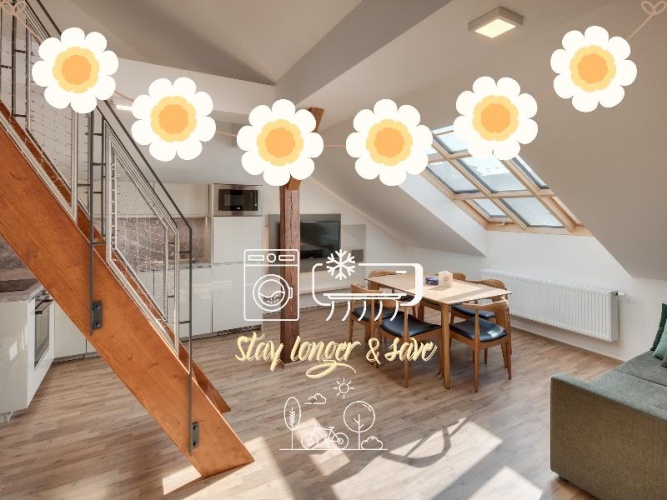 Deluxe Apartment