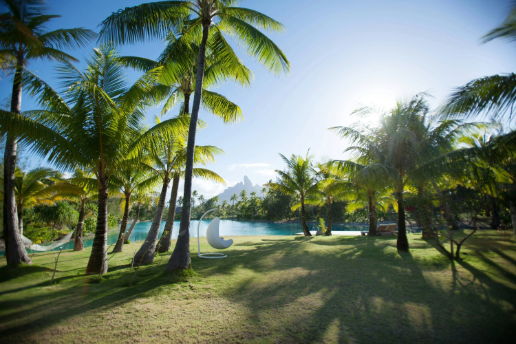 The St. Regis Bora Bora Resort photo 31
