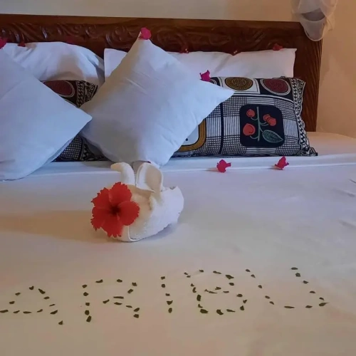 Standard Double room with pool view