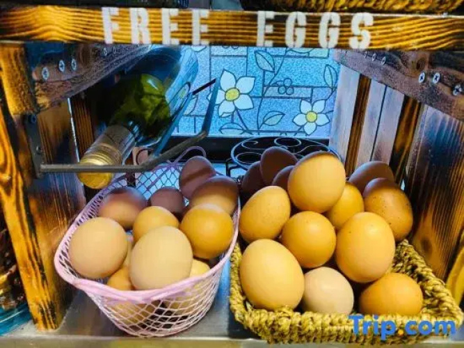 Kumamoto Farm Stay