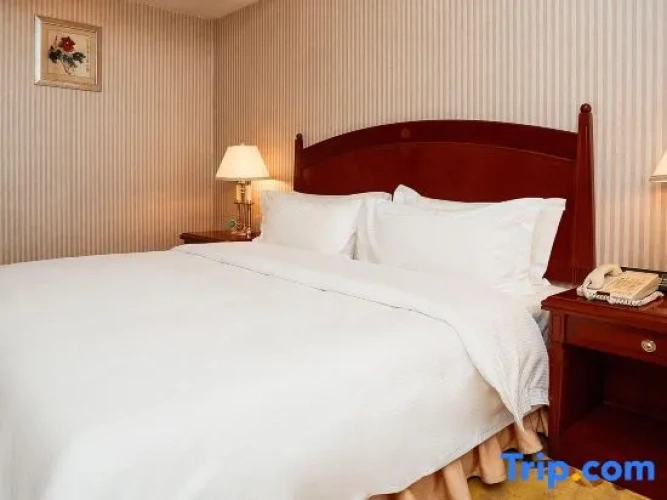 Standard Double room with city view