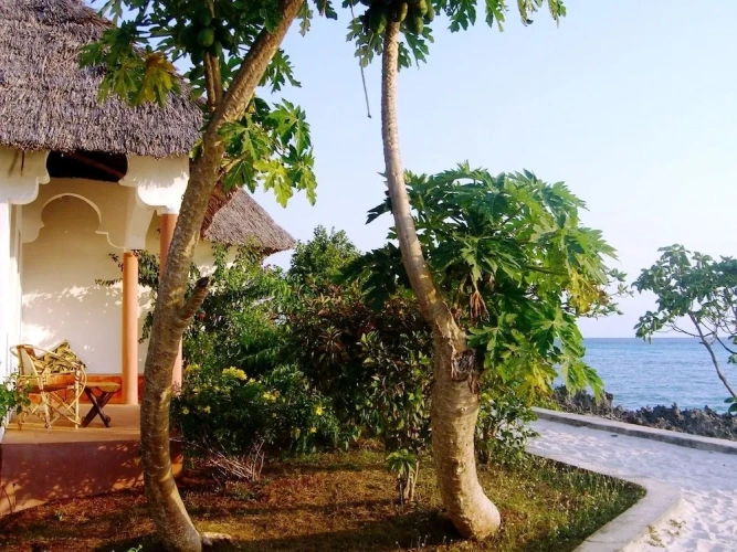 Comfort Double room with ocean view