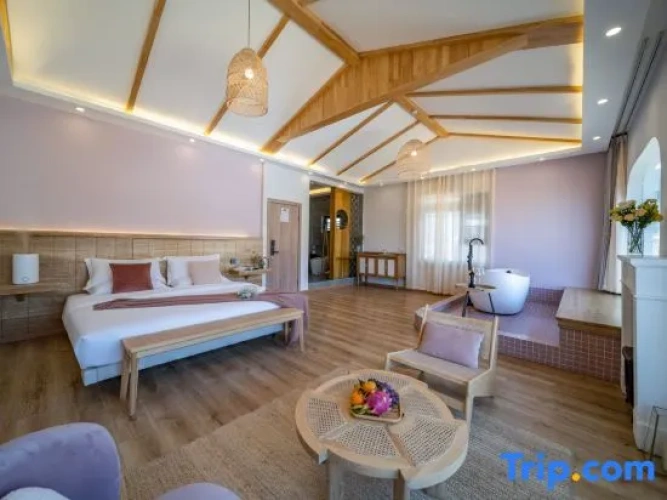 Deluxe Double Family room