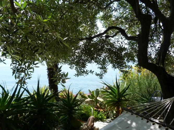 House Limone