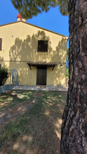 Il Gelso Nero II