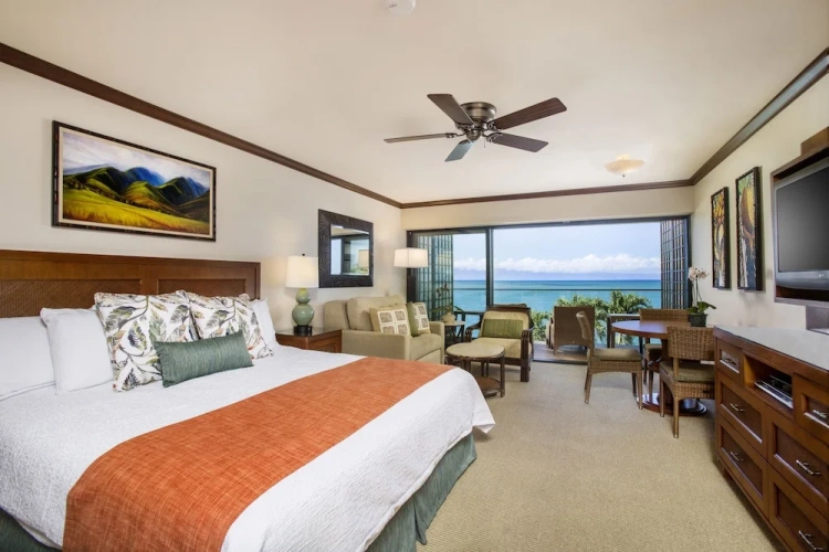 1 Bedroom Suite with view