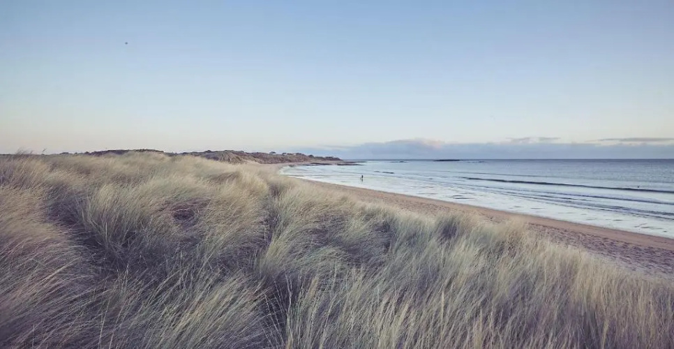 Craster Reach