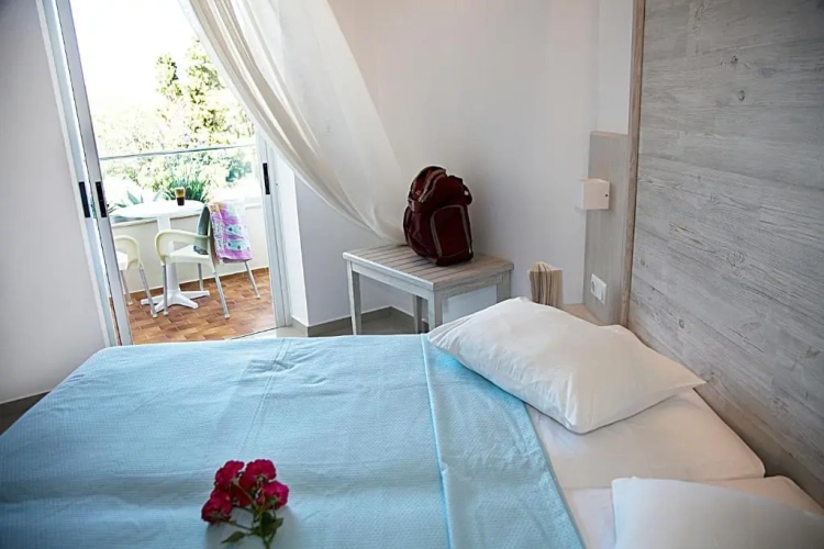 Deluxe Double room with balcony and with view