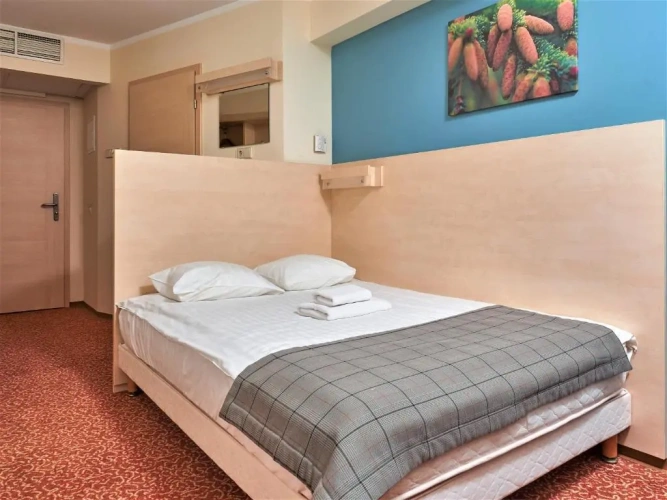 Standard Double room with view