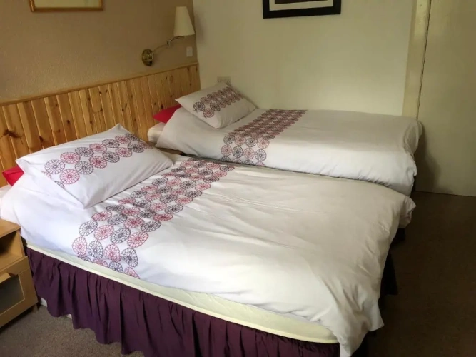 Standard Double room with garden view