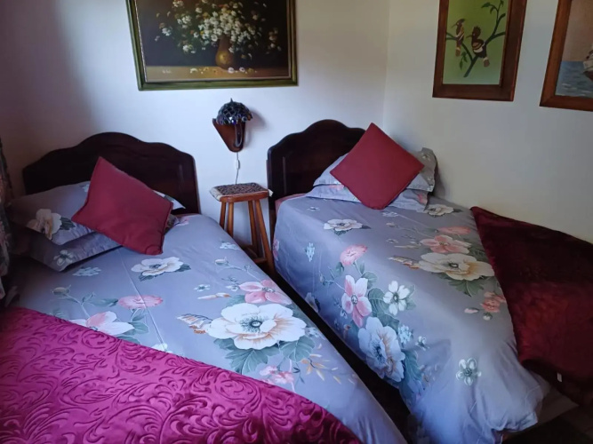 Ellipsis Cottage
