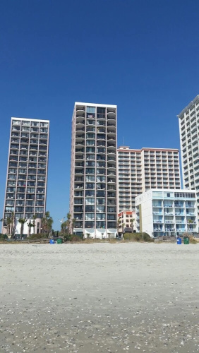 The Palms