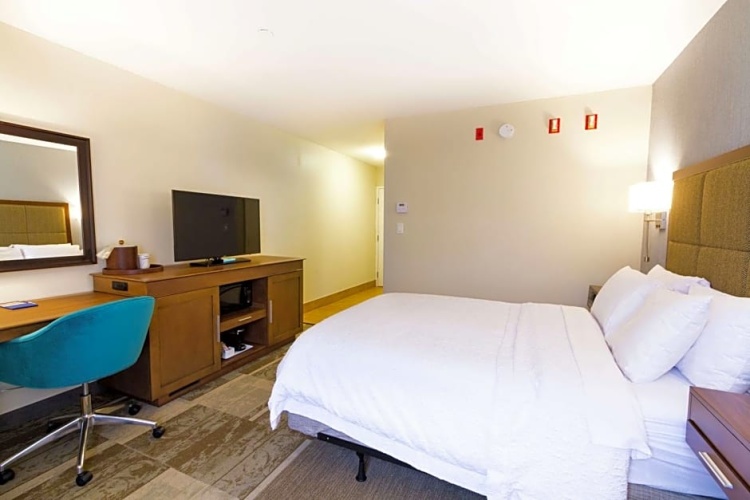 1 Bedroom Double Suite