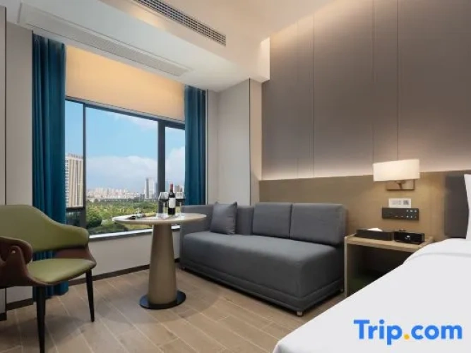 Business Double room with city view