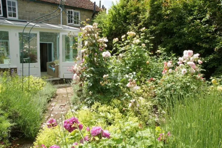Ivy Cottage