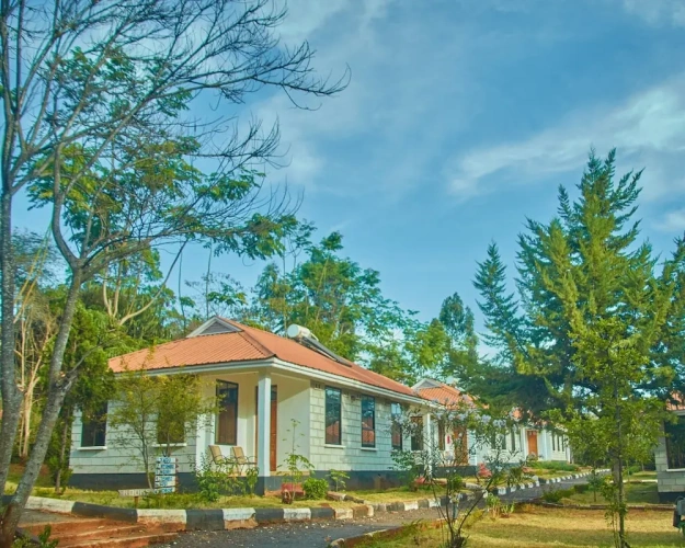 Comfort Cottage