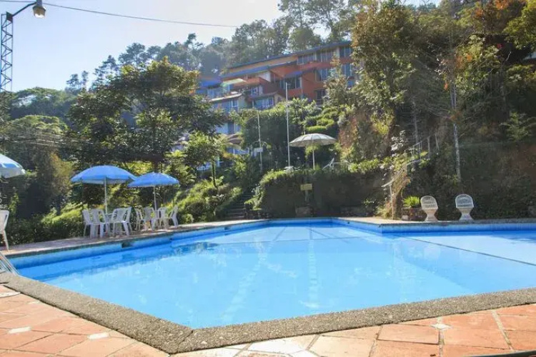 Hotel Forest