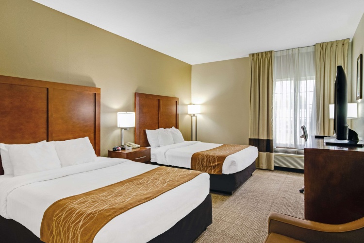 Standard Quadruple room