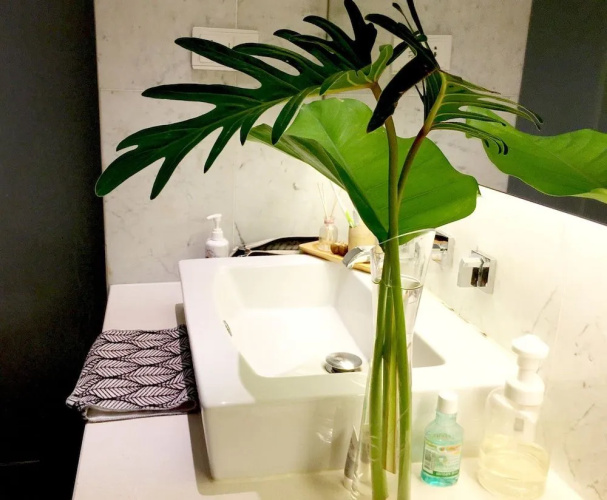 Perfect Harmony Condotel