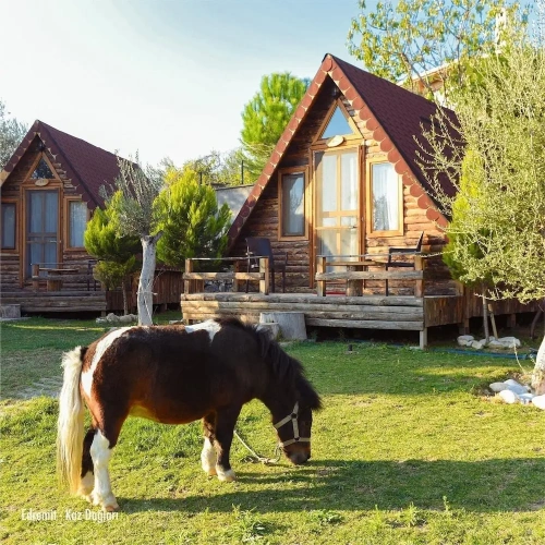 Standard Double Bungalow with balcony and with mountain view