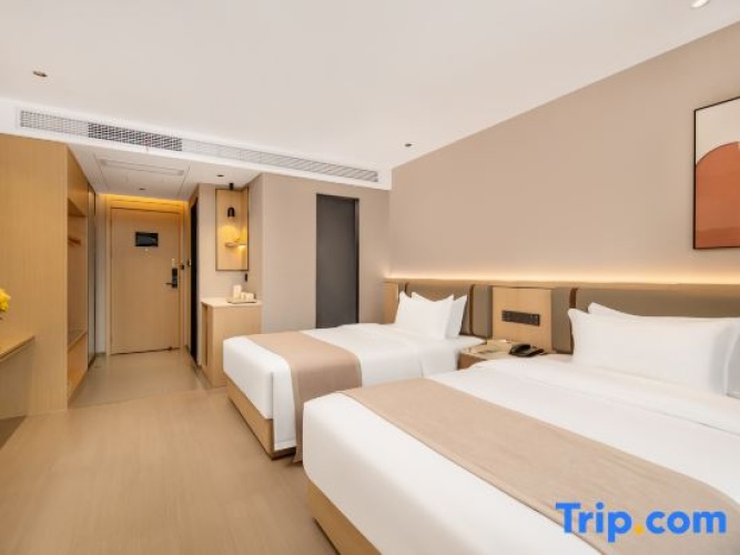 Executive Twin room